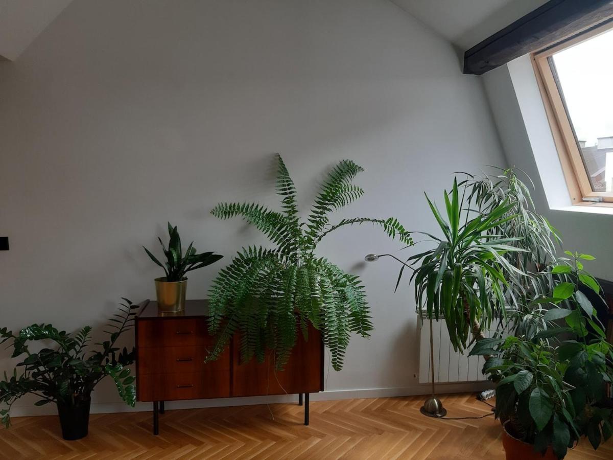 Apartament Attic *