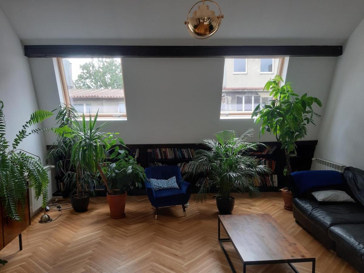 Attic Apartament
