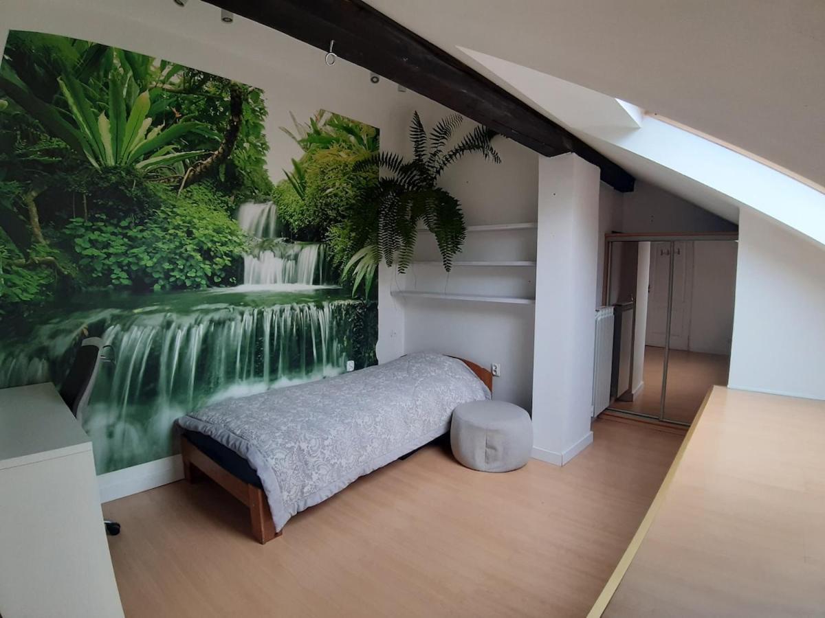 Apartament Attic